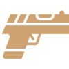 Protect <br>  Firearms