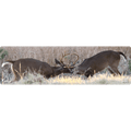 Buck Whitetail Deer Hunting Rifle Pad