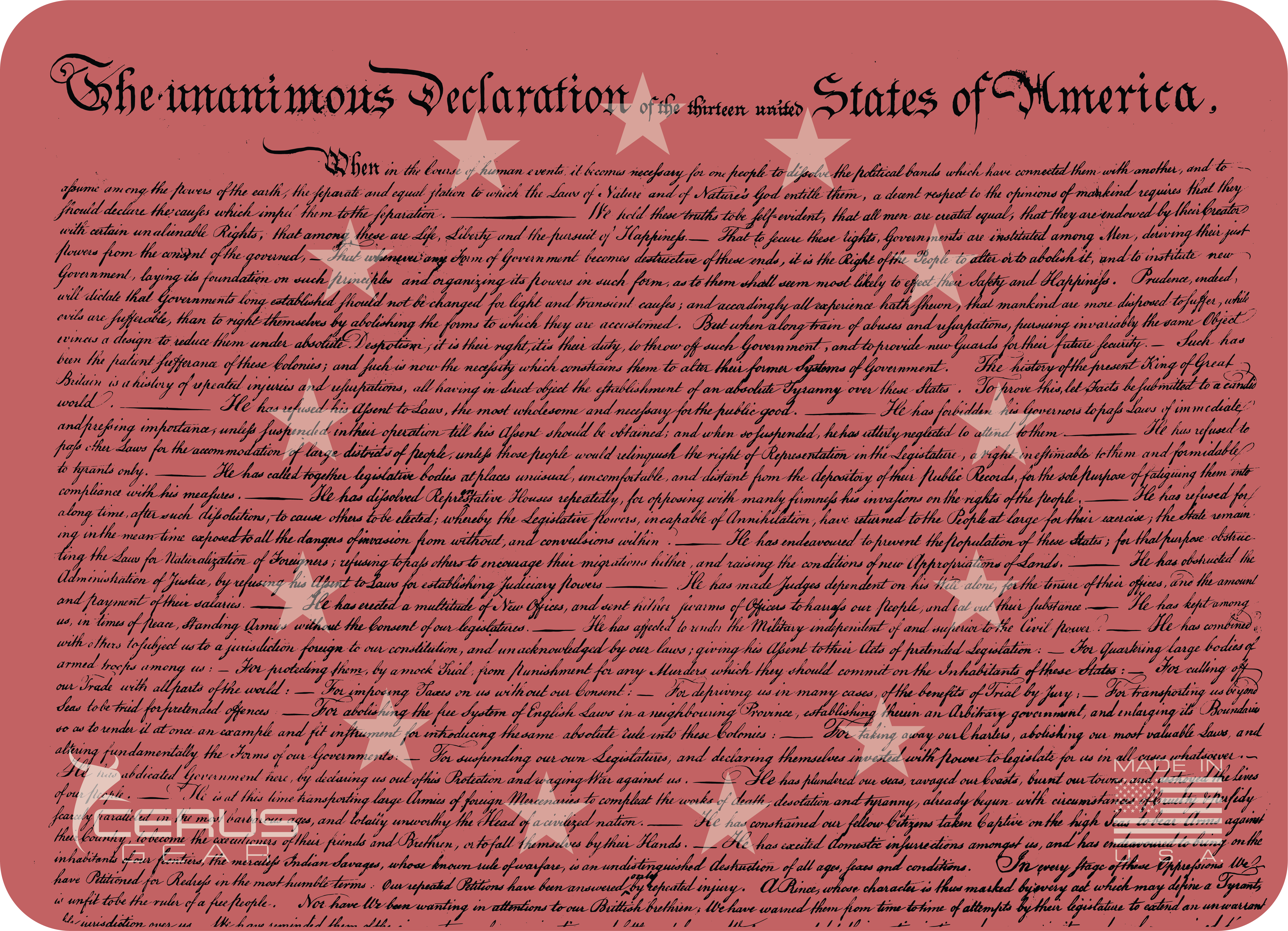 America 250 Declaration of Independence  **Limited Edition**