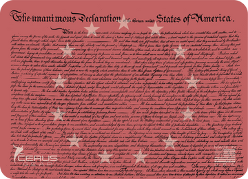 America 250 Declaration of Independence  **Limited Edition**