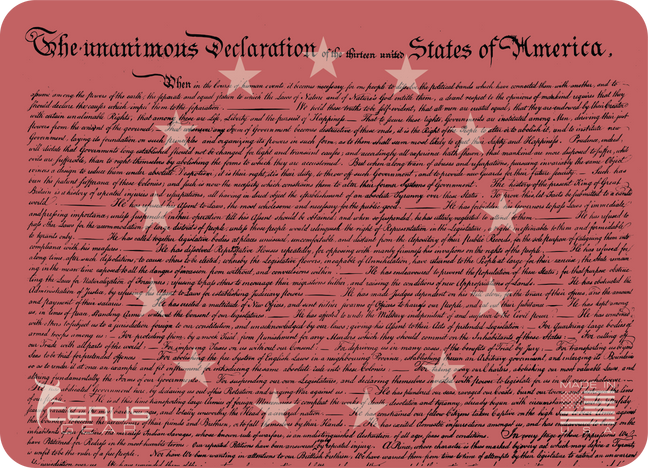 America 250 Declaration of Independence  **Limited Edition**