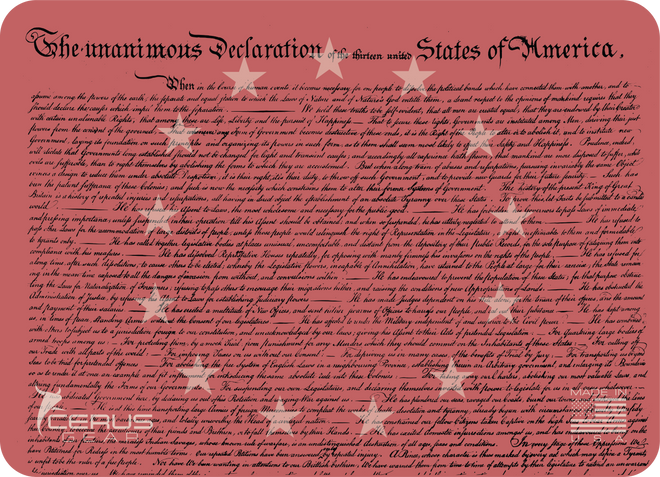 America 250 Declaration of Independence  **Limited Edition**