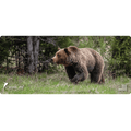 Grizzly Bear Wildlife Mat