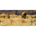 Bison Wildlife Gun Mat